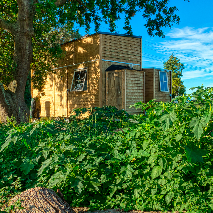 Villa tiny home under trees in a meadow.